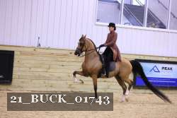 21_BUCK_01743 thumbnail