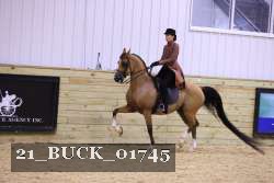 21_BUCK_01745 thumbnail