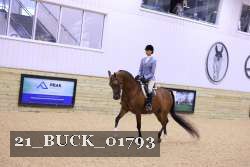 21_BUCK_01793 thumbnail