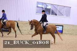 21_BUCK_01808 thumbnail