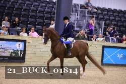 21_BUCK_01814 thumbnail