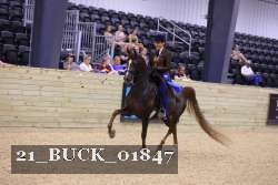 21_BUCK_01847 thumbnail