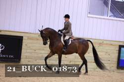 21_BUCK_01873 thumbnail