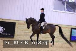 21_BUCK_01874 thumbnail