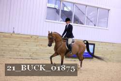 21_BUCK_01875 thumbnail