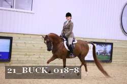 21_BUCK_01878 thumbnail