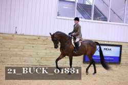 21_BUCK_01881 thumbnail