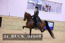 21_BUCK_01908 thumbnail