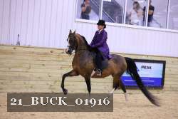 21_BUCK_01916 thumbnail