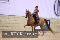 21_BUCK_01917 thumbnail