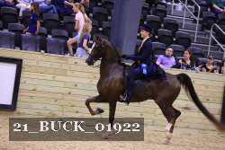 21_BUCK_01922 thumbnail