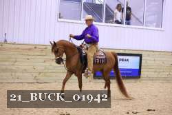 21_BUCK_01942 thumbnail