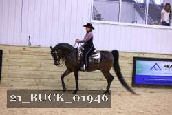 21_BUCK_01946 thumbnail