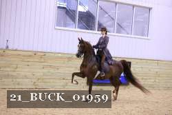 21_BUCK_01959 thumbnail