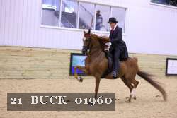21_BUCK_01960 thumbnail