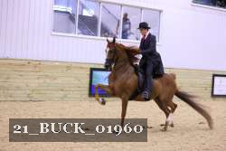 21_BUCK_01960 thumbnail