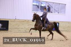 21_BUCK_01961 thumbnail