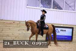 21_BUCK_01977 thumbnail