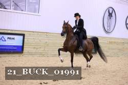 21_BUCK_01991 thumbnail