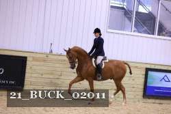 21_BUCK_02011 thumbnail