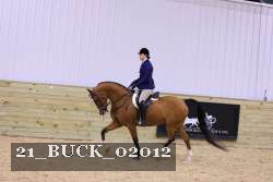 21_BUCK_02012 thumbnail