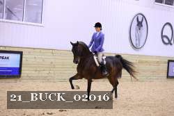 21_BUCK_02016 thumbnail