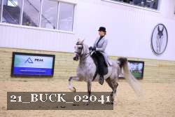 21_BUCK_02041 thumbnail