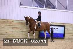 21_BUCK_02075 thumbnail