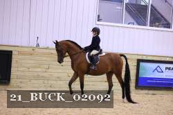 21_BUCK_02092 thumbnail