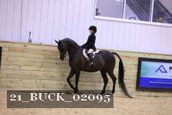 21_BUCK_02095 thumbnail