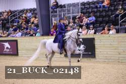 21_BUCK_02148 thumbnail
