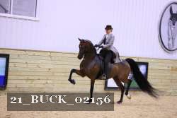 21_BUCK_02156 thumbnail