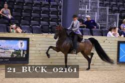 21_BUCK_02161 thumbnail