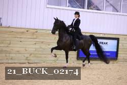 21_BUCK_02174 thumbnail