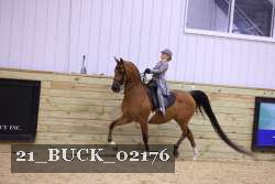 21_BUCK_02176 thumbnail