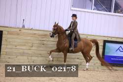 21_BUCK_02178 thumbnail