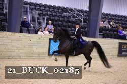 21_BUCK_02185 thumbnail