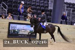 21_BUCK_02216 thumbnail