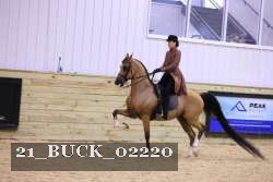 21_BUCK_02220 thumbnail