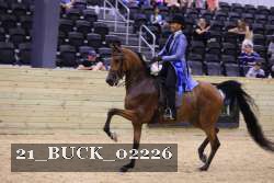 21_BUCK_02226 thumbnail