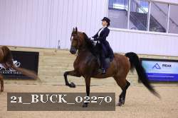 21_BUCK_02270 thumbnail