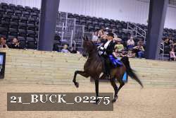 21_BUCK_02275 thumbnail