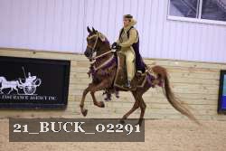 21_BUCK_02291 thumbnail