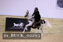 21_BUCK_02293 thumbnail