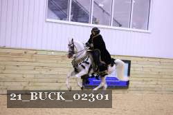 21_BUCK_02301 thumbnail