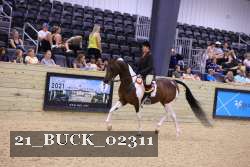 21_BUCK_02311 thumbnail