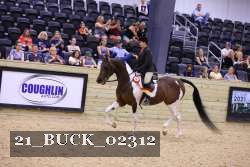 21_BUCK_02312 thumbnail