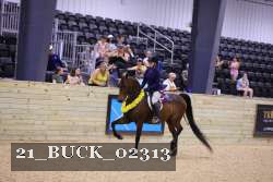 21_BUCK_02313 thumbnail