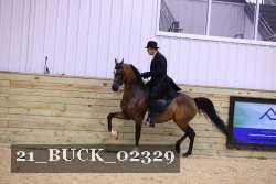 21_BUCK_02329 thumbnail