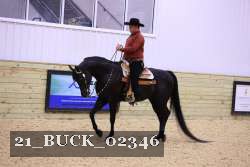 21_BUCK_02346 thumbnail